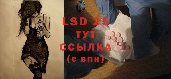 индика Богородицк