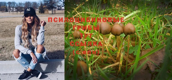 гидропоника Богданович