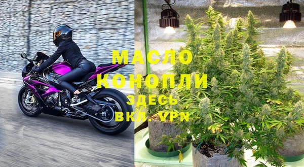 индика Богородицк