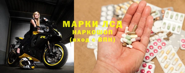 индика Богородицк