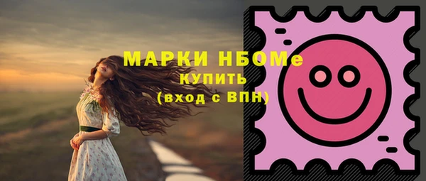 дживик Богородск