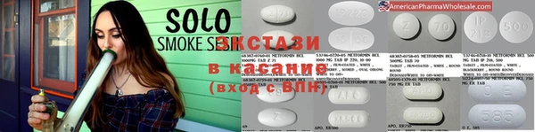 индика Богородицк