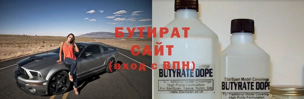 индика Богородицк