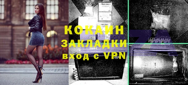 индика Богородицк
