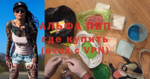 индика Богородицк