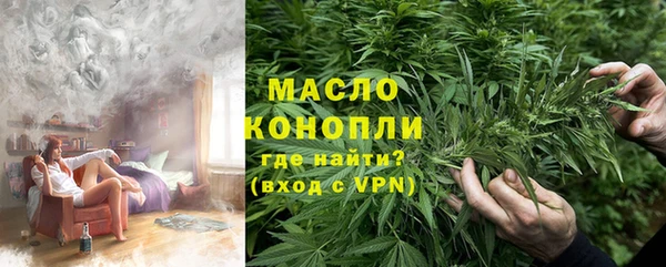 индика Богородицк