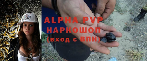 дживик Богородск