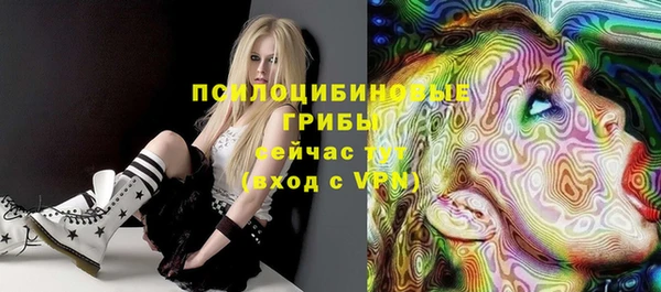 индика Богородицк
