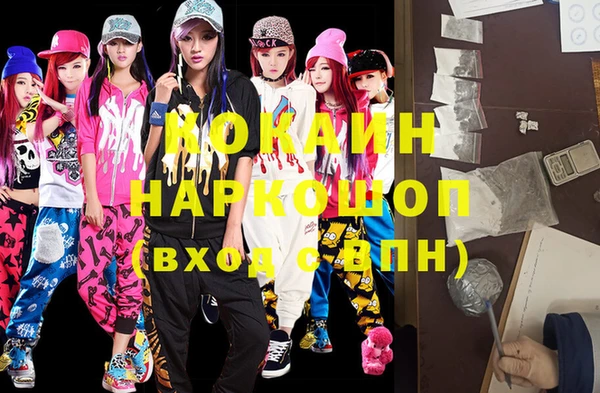 индика Богородицк