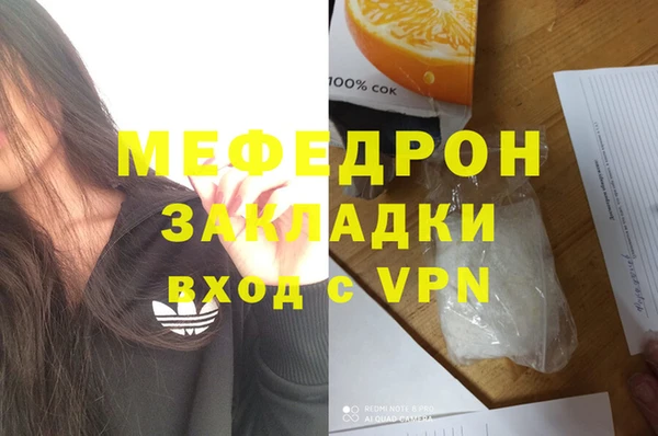 индика Богородицк