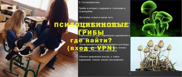 дживик Богородск