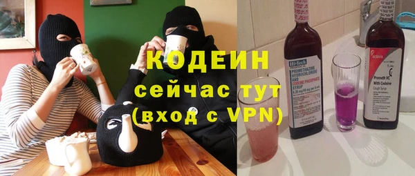 дживик Богородск