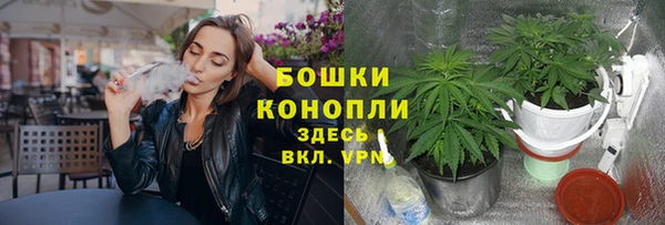 дживик Богородск