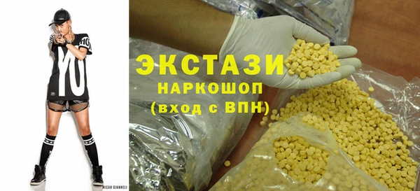индика Богородицк
