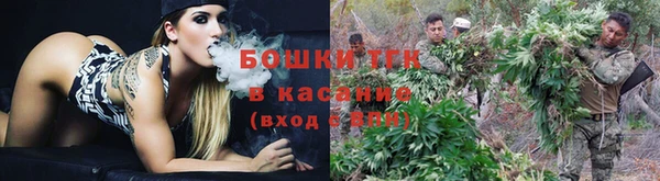 дживик Богородск
