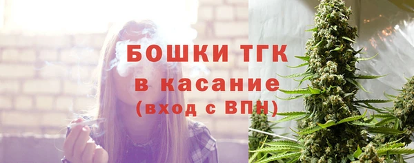 индика Богородицк