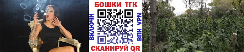 Бошки Шишки сатива  Малаховка 